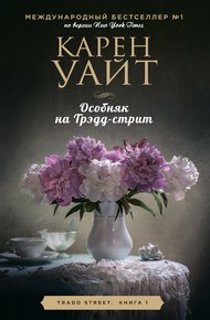 Обложка книги Особняк на Трэдд-стрит