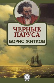 Обложка книги Черные паруса