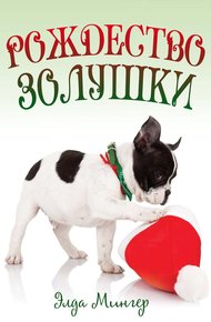 Обложка книги Рождество Золушки