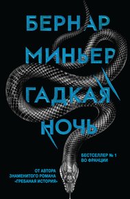 Обложка книги Гадкая ночь