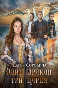 Обложка книги Один дракон – три парня. Дилогия