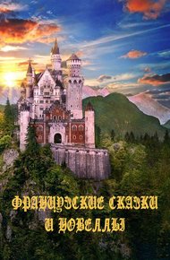 Обложка книги Французские сказки и новеллы