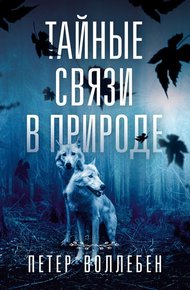 Обложка книги Тайные связи в природе