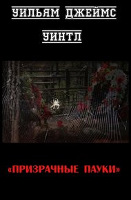 Обложка книги Призрачные пауки