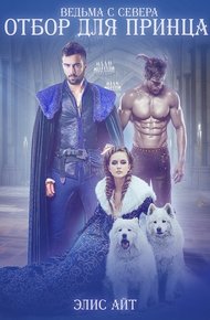 Обложка книги Ведьма с Севера: отбор для принца