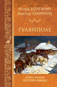 Обложка книги Гуляйполе