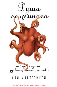 Обложка книги Душа осьминога