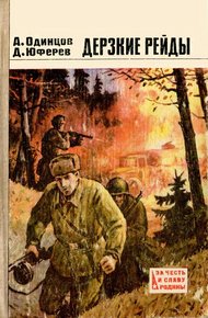Обложка книги Дерзкие рейды