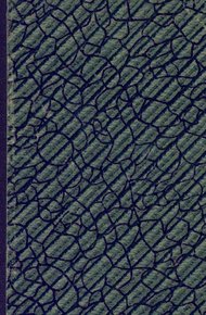 Обложка книги Рейс в Эвенкию (путевые заметки)