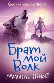 Обложка книги Брат мой Волк