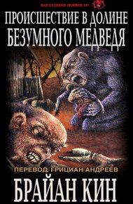 Обложка книги Происшествие в Долине Безумного Медведя