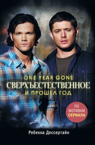 Обложка книги И прошёл год