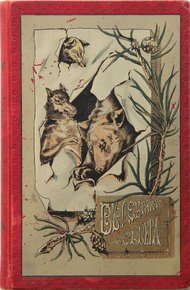 Обложка книги В дебрях Севера. Приключения волка, медведя и лисицы