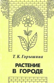 Растение в городе