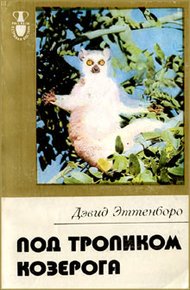 Обложка книги В поисках дракона