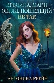 Обложка книги Вредина, маг и обряд, пошедший не так!