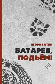 Обложка книги Батарея, подъем!
