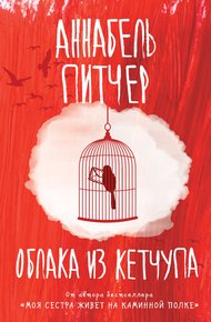 Обложка книги Облака из кетчупа