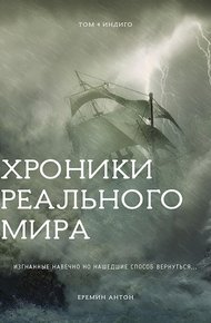 Обложка книги Индиго