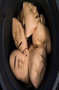 Обложка книги Страшилки про Алексеевых