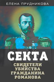 Обложка книги Секта. Свидетели убийства гражданина Романова
