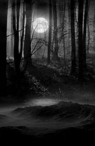 Обложка книги Темный гость