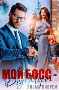 Обложка книги Мой босс - Дед Мороз