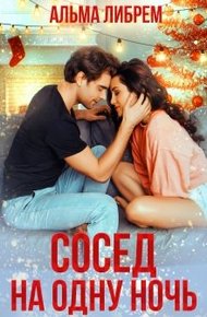 Обложка книги Сосед на одну ночь