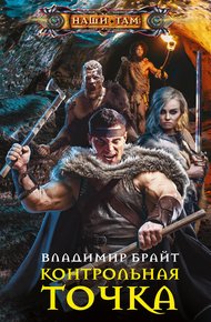 Обложка книги Контрольная точка