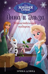 Обложка книги Таинственный подарок