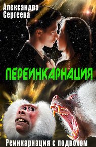 Обложка книги Переинкарнация
