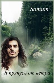 Обложка книги Я прячусь от ветра