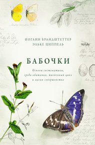 Обложка книги Бабочки. Основы систематики, среда обитания, жизненный цикл и магия совершенства