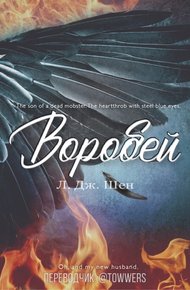 Обложка книги Воробей