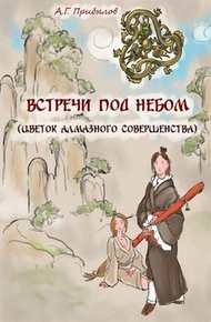 Обложка книги Встречи под Небом