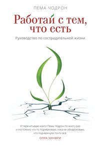 Обложка книги Работай с тем, что есть. Руководство по сострадательной жизни