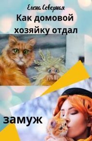 Обложка книги Как домовой хозяйку отдал замуж