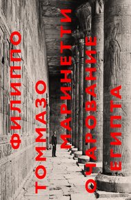 Обложка книги Очарование Египта