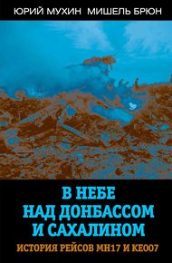 Обложка книги В небе над Донбассом и Сахалином. История рейсов МН17 и КЕ007
