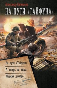 Обложка книги На пути «Тайфуна»