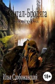 Обложка книги Зайтан-Бродяга. Тихий город