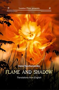 Обложка книги Пламя и тень / Flame and shadow