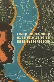 Обложка книги Бивуаки на Борнео