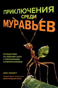 Обложка книги Приключения среди муравьев. Путешествие по земному шару с триллионами суперорганизмов