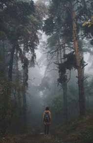 Обложка книги Выход без входа