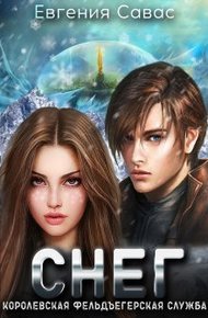 Обложка книги Снег