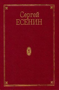 Обложка книги Том 1. Стихотворения