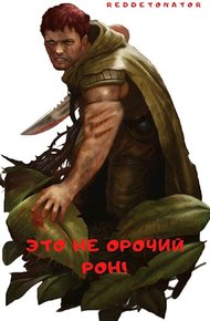 Обложка книги Это не орочий Рон!