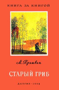 Обложка книги Старый гриб