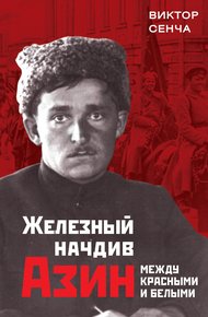 Обложка книги Железный начдив Азин. Между красными и белыми